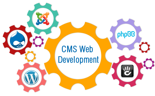 Importance of CMS Development Services