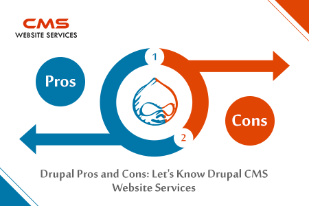 Drupal Web development Company in USA