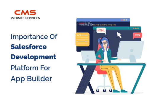 Salesforce Development Platform For App Builder