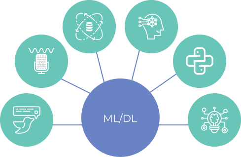 ML/DL Software Model