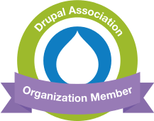 drupal Website Audits 