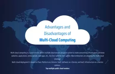 Multi-Cloud Computing