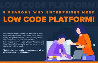 Enterprises Need Low Code Platform