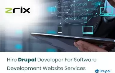 Hire Drupal Developer For Software Development