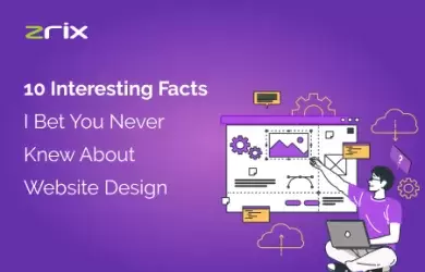 interesting facts about website design