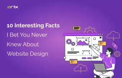 interesting facts about website design
